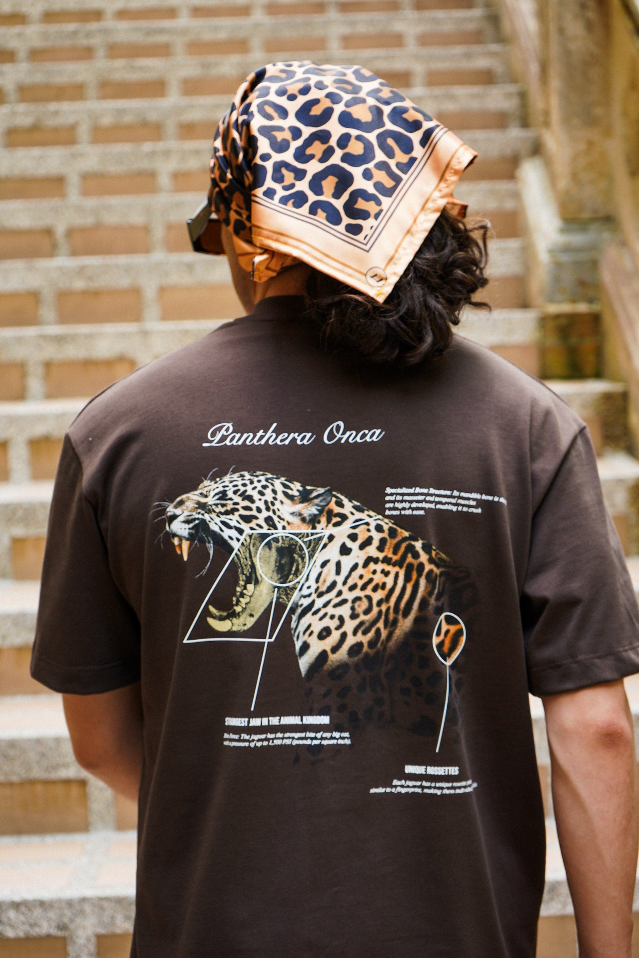 PANTHERA ONCA
