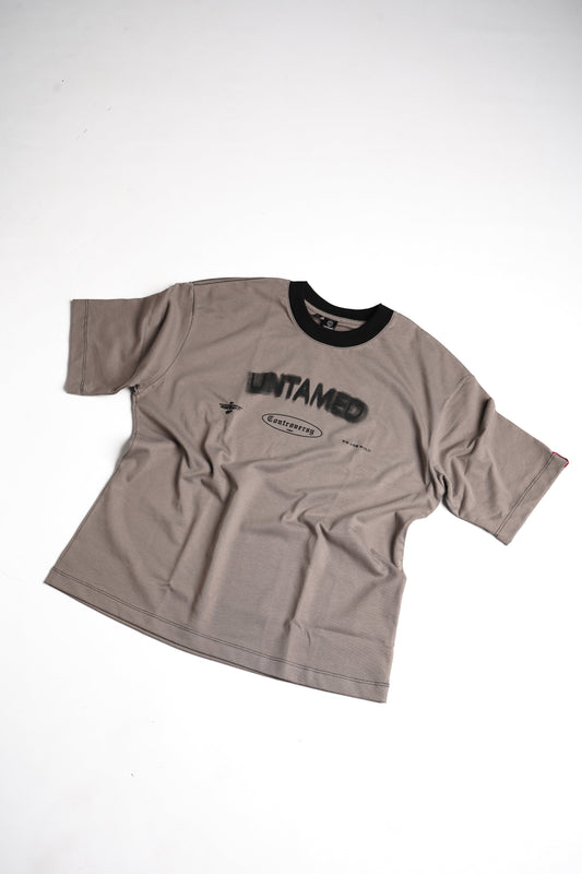 CONTROVERSY LENGUAJES